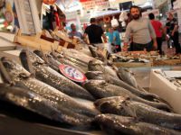 Demirtaş Baraj Gölü kiraya verilecek!