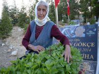 Ayşe Ana, bir yıldır oğluna ağlıyor