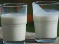 Bitkisel süt mü, hayvansal süt mü?
