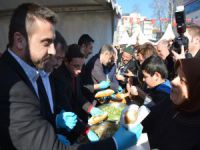 Bursa'da bedava hamsi izdihamı!