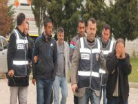 Bursa fareleri 3 ilde...