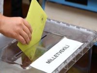 AGİT heyeti Güneydoğu’da