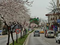 Bursa'ya bahar geldi