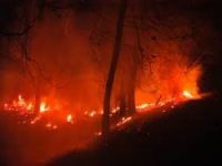 Orman yangınlarına dikkat