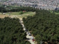 Bursa'da piknik akını