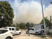 Bursa'da ormanı yakan yakalandı