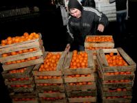 20 ton mandalinayı Türkiye’ye geri gönderdi