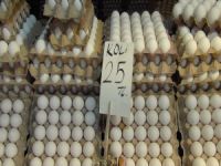 Yumurta fiyatları zamlandı