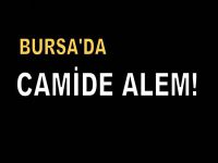 Bursa'da Camide alem!