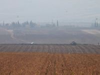 IŞİD'li teröristler öldürüldü