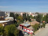 Nusaybin'de 1 kişi öldü, 4 kişi yaralandı