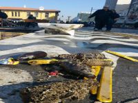 Denizden klozet, bisiklet, bank ve sandalye çıktı