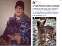Rusya, dayanışma göstergesi olarak Fransa’ya köpek yavrusu gönderiyor