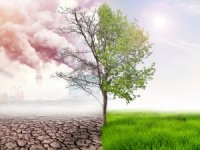 İklim krizi ile mücadelenin 10 yolu