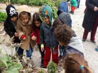 Mahalle bostanı ilgi odağı