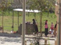 Nusaybin patlama sesleriyle yankılanıyor