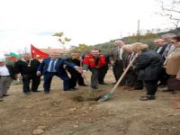 Türkiye-Bulgaristan dostluk çınarı Mudanya'da
