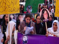 Hakkari’de 'Kadına Yönelik Şiddete Karşı Ulusal Mücadele Günü' yürüyüşü