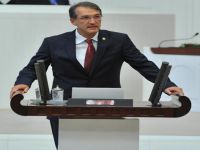 CHP'li vekilden Bakan Ramazanoğlu'na: Kadın şiddete karşı eylem planınız nedir