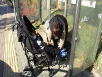 Otobüse alınmayan engelli annesi konuştu