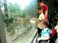 Hayvanat Bahçesi’nde ‘Halk Günü’