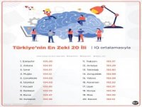 Türkiye'nin en zeki 20 kenti