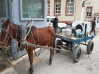 Bursa'da at arabasıyla hırsızlık