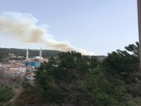 Bursa’da ikinci orman yangını