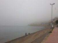 Mudanya'da sis etkili oldu