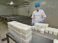 BESAŞ peynire de el attı