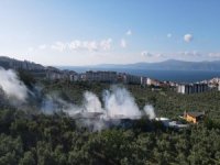 Mudanya'da çiftlik yangını