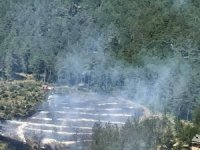Bursa'da 3 yerde orman yangını