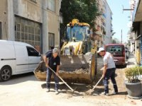 Mudanya'da temizlik seferberliği