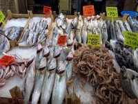 Balık bolluğu fiyatlara yansıdı