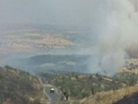 Lice'de yeni bir yangın başladı