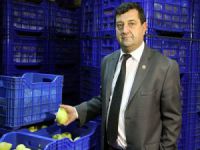 İsveçli firmalar Bursa’dan meyve sebze istiyor