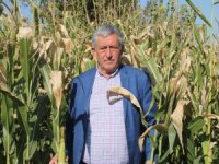 "Türkiye'de ne şeker ne de pirinç krizi var"