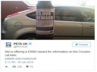 Londra’da 'seri kedi katili' aranıyor
