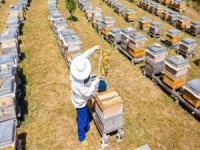 Üreticiye arı kovanı desteği