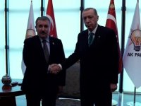Erdoğan, Desticiyle görüştü