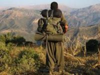 PKK'nın sorumlusu Şanlıurfa'da yakalandı