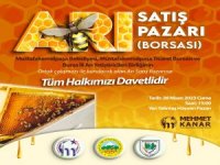Türkiye’nin ilk arı pazarı kuruluyor