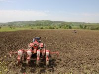 Mudanya'da tohumlar toprakla buluşuyor