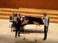 Trio Mimar Sinan’dan konser