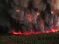Kanada’daki yangınlar rekor kırdı
