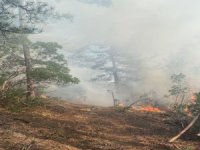 Kütahya'daki yangına Bursa'dan müdahale