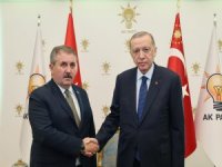 Erdoğan, Destici ile görüştü