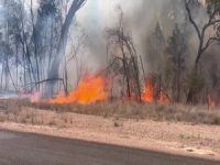 Avusturalya’da orman yangını