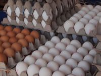 Ankara'da milyonlarca bozuk yumurta ele geçirildi