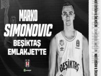 Marko Simonovic, Beşiktaş'ta